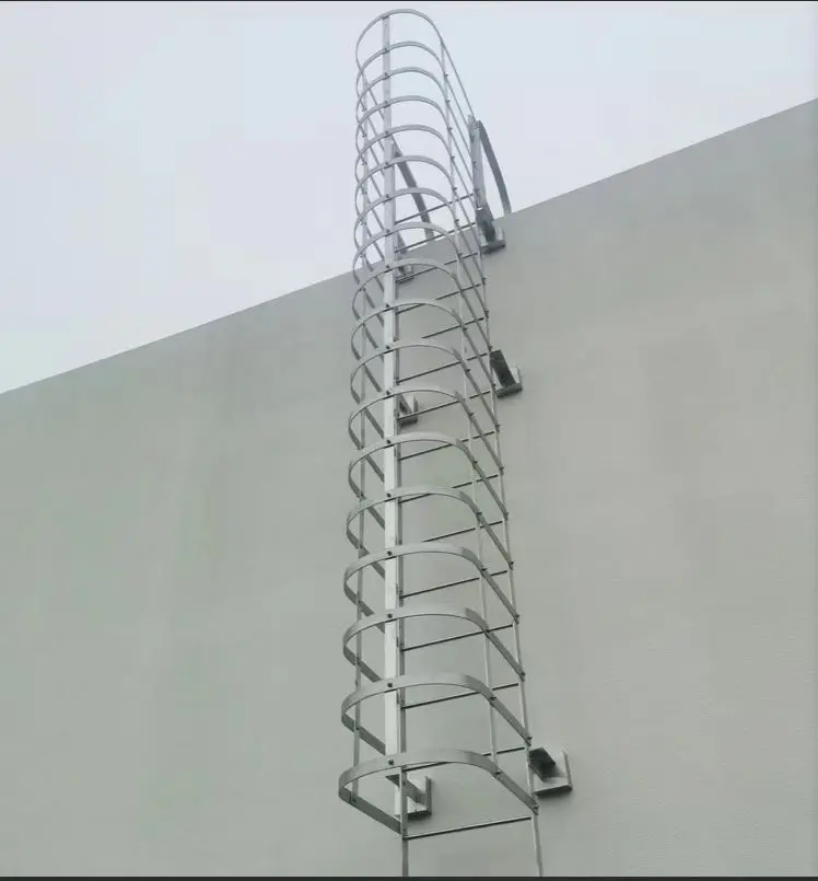Échelle à crinoline fixée sur mur, produit en usine