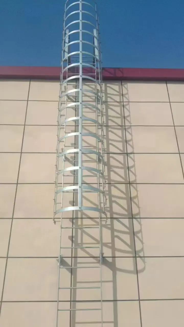Échelle fixe à crinoline montée au mur en intérieur