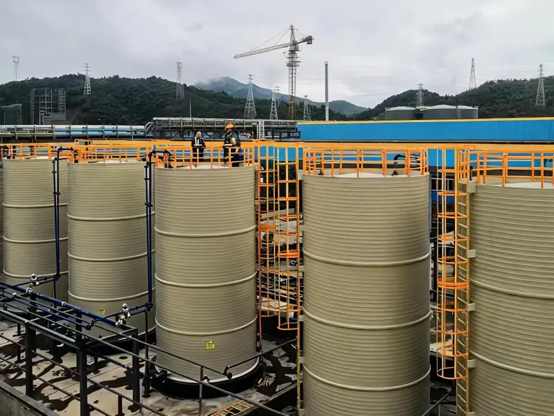 Échelle à crinoline sur mesure pour accès silo industriel