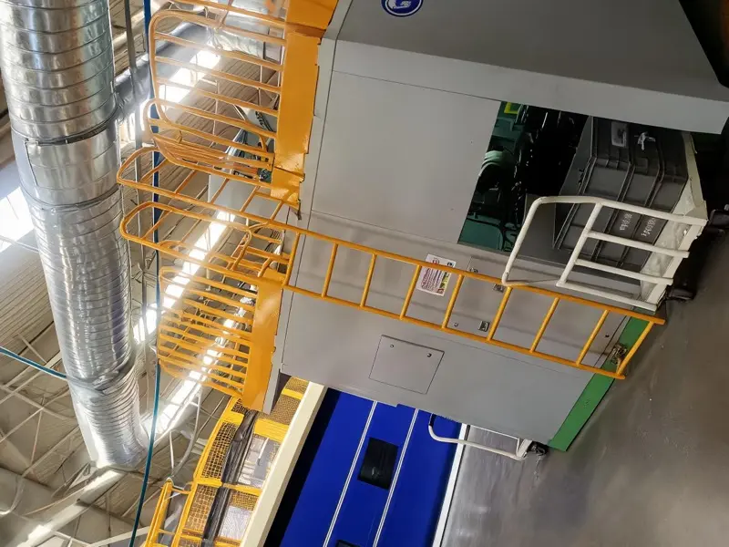 Échelle de toit fixe à crinoline installée en environnement industriel, accès toiture d'usine