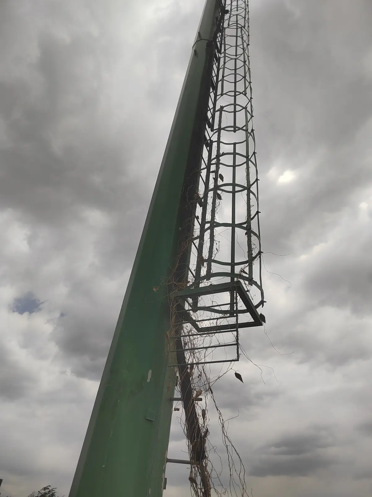 Échelle fixe d'accès toiture avec sortie sécurisée, installation sur bâtiment industriel